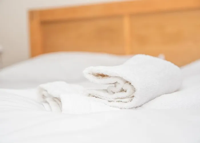 Bed & Breakfast Alte Windmuehle - Garni *